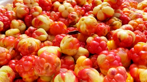 grupo de moras frescas, recogiendo una a mano, en tiempo real