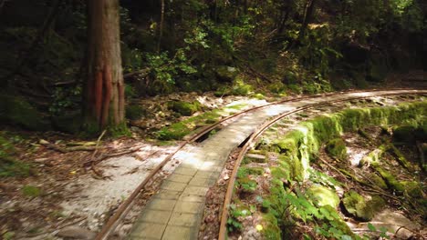 tiro de punto de vista caminando por yakushima a lo largo de la antigua vía férrea, japón