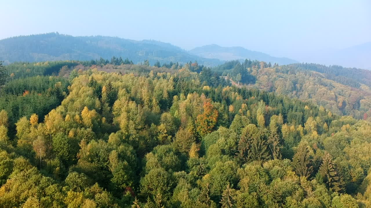 vista aérea de un amplio paisaje de la selva negra, alemania
