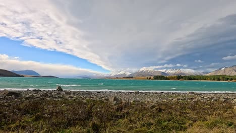 wide-angle camera pan reveals turquoise lake tekapo, distant mountains, and dramatic cloud formations above wild grasses and flowering thistles in daylight