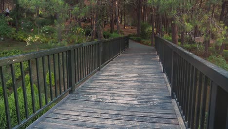 puente de madera en un parque