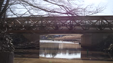 Rising-reveal-of-bridge-across-small-water-river-with-tree-above