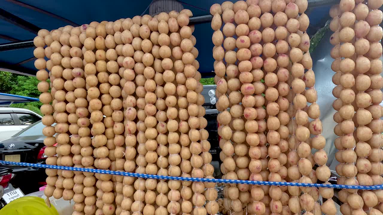 Rows of sausages hanging in a market
