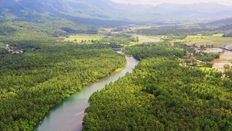 panorama of coconut tree plantation along the river at countryside of saint bernard, province of southern leyte, philippines