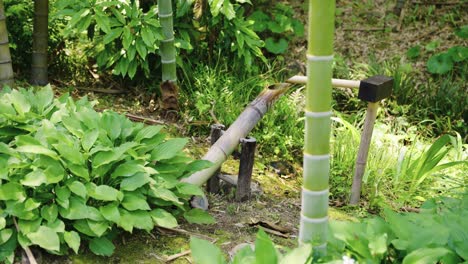 shishi odoshi traditional japanese bamboo water fountain for scaring birds away