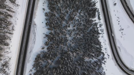 Aerail-top-down-shot-of-snow-covered-trees-and-winding-roads-in-the-Colorado-Rocky-Mountains