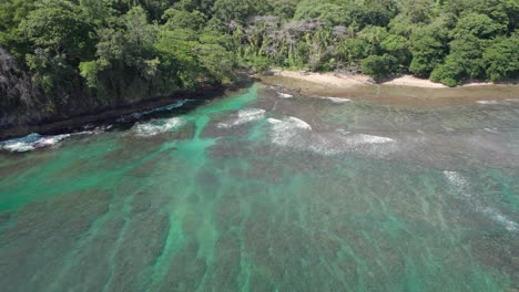 aerial zoom out from cocles beach revealing a broad view of the lush tropical forest and coral reef on a bright day.