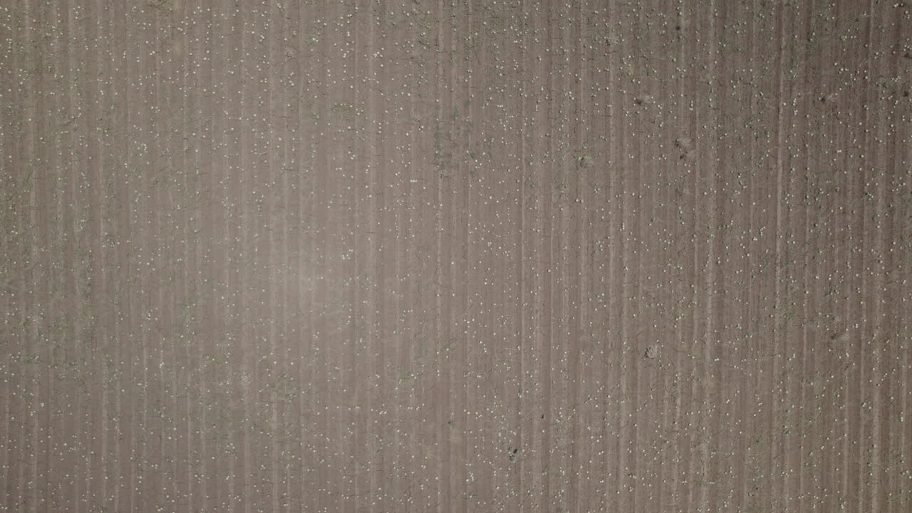 거대한 익은 수박 을 고 어져 있고 채취할 준비가 되어 있습니다. 넓은 렌즈 드론 촬영 - 원시 파일 d-log