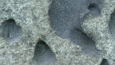 zoom-out on the surface of an eroded rock