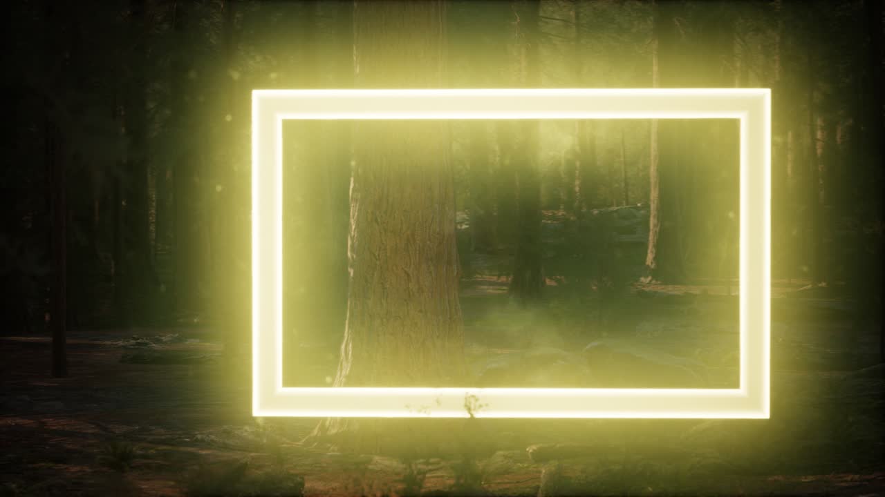 밤의 숲에서 네온 빛나는 직사각형 프레임