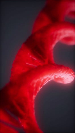 3d visualization of dna structure showcasing intricate red helices in detail