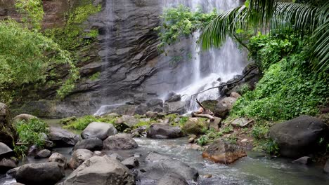 La-Belleza-De-Una-Cascada-En-La-Selva-Con-árboles-Y-Palmeras