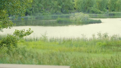 view over the back of a wooden bench to the water of walden ponds