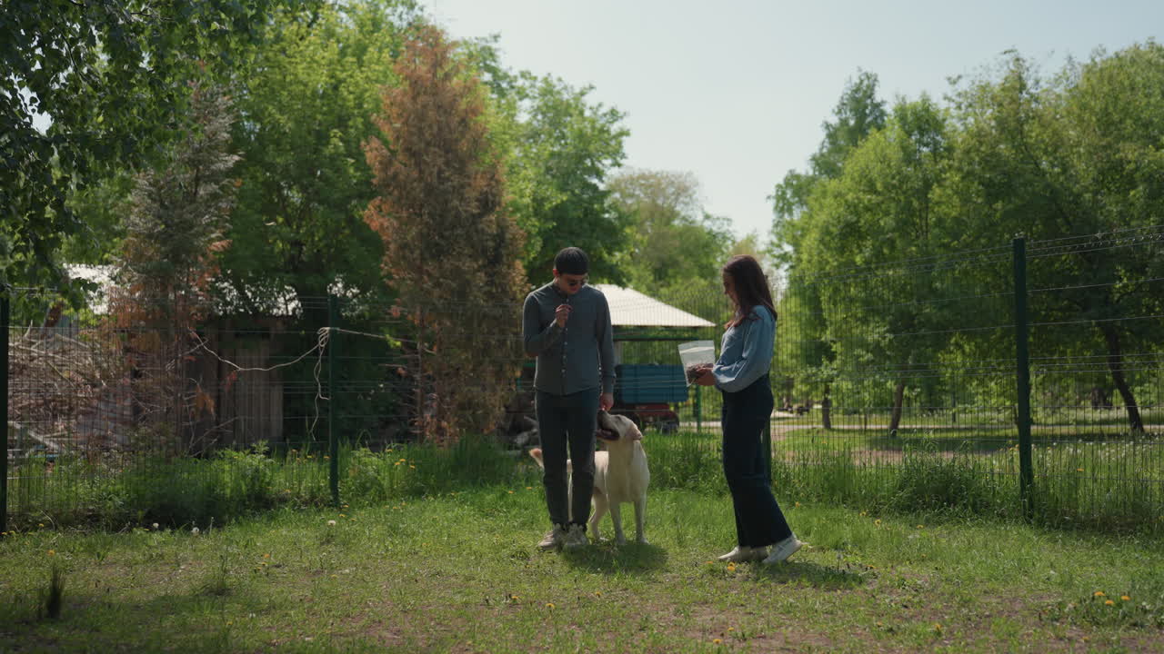 개는 야외에서 입양 희망자에게 소개되고, 동물 보호소 직원은 울타리 근처에서 입양을 희망하는 가족에게 개를 보여주고, 직원은 야외에서 장래의 주인에게 개를 소개하는 것을 도와줘요.