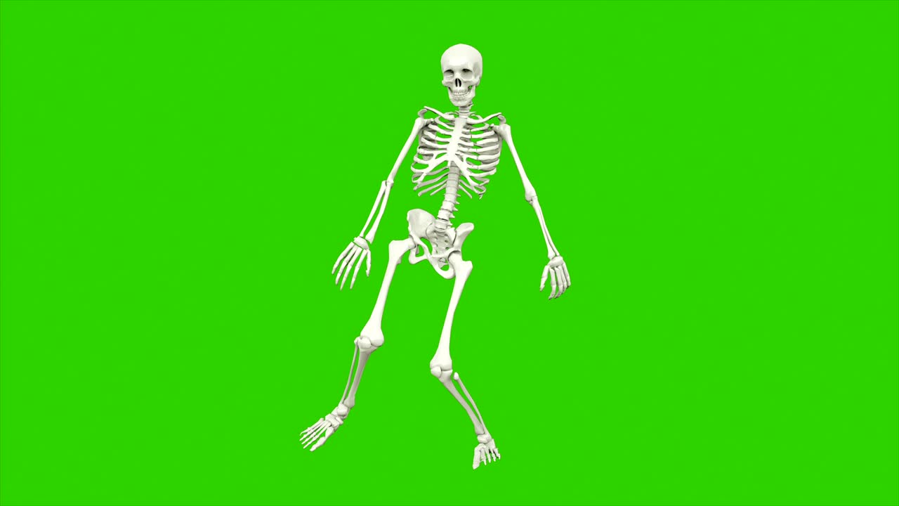 danza dello scheletro. animazione a loop senza soluzione di continuità sullo schermo verde.