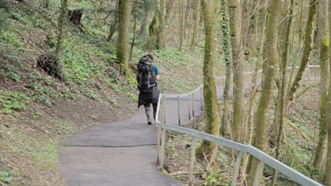 backpacker walk down paved asphalt hiking path outdoors, trees around