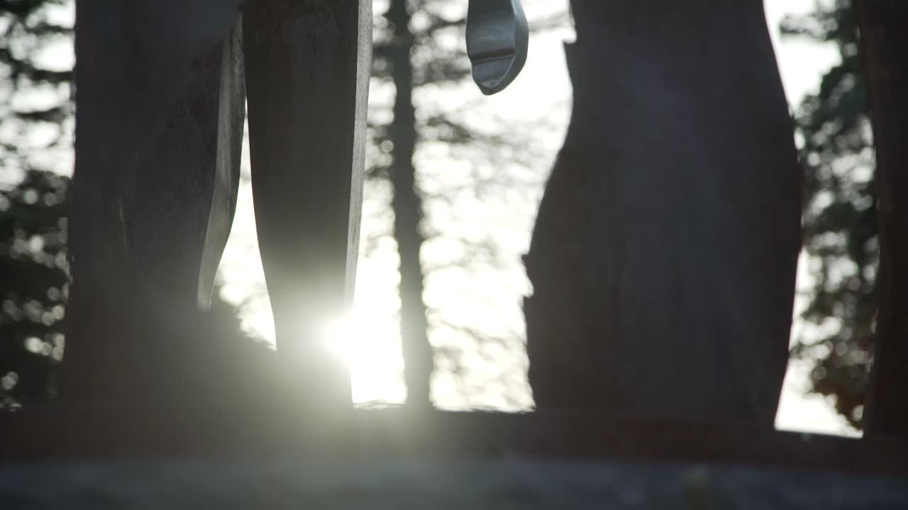Cullen Gardens Central Park Sculptures Low Angle with Sunlight Beaming Through, Whitby, Canada