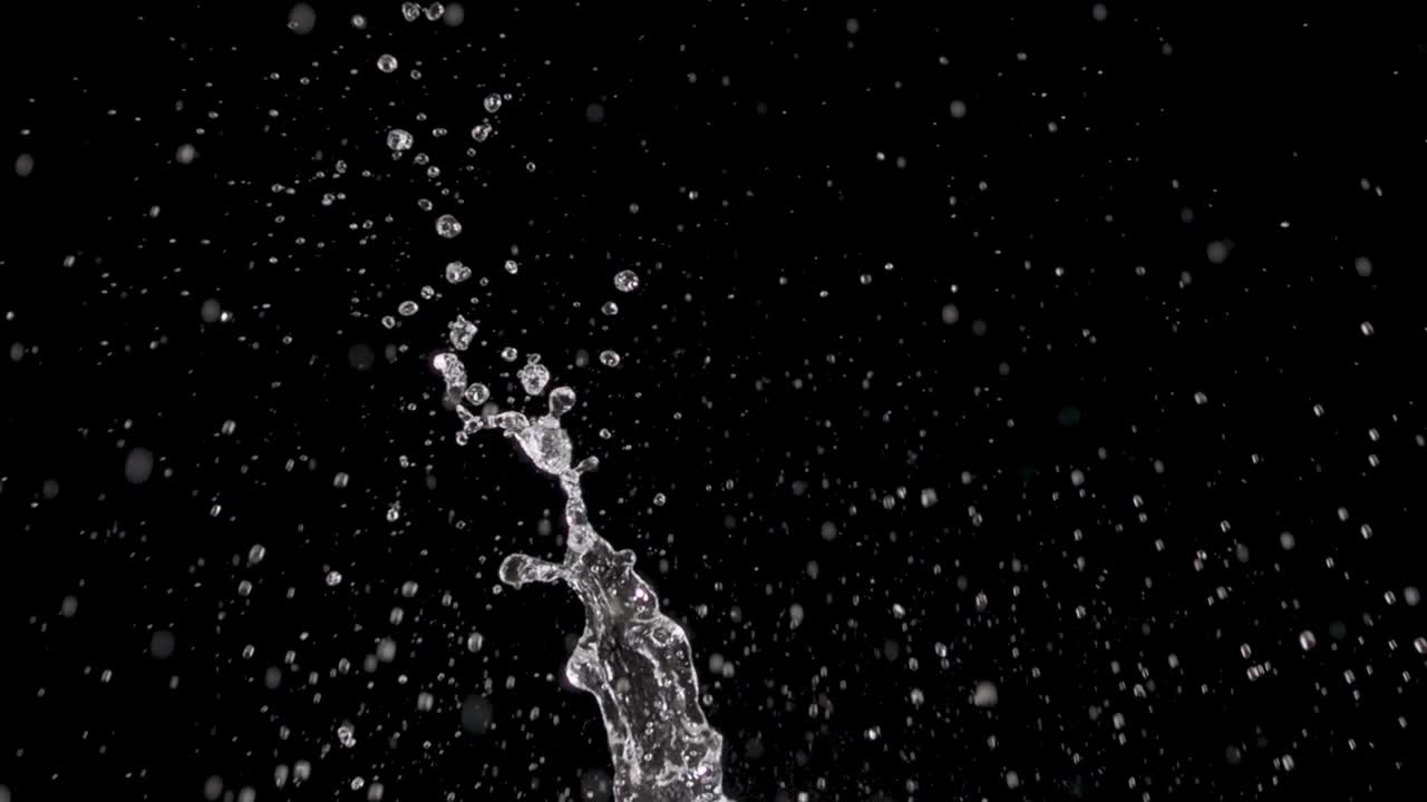 물이 올라오고 있습니다.