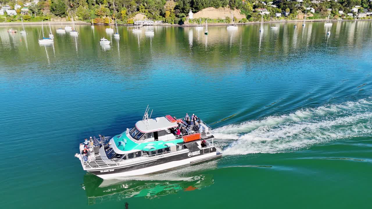 Aerial view of a catamaran with tourists cruising through Akaroa's tranquil waters under clear skies