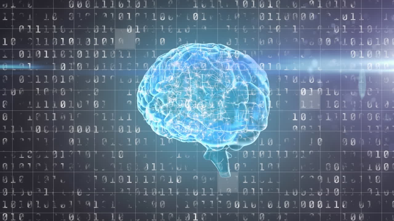 Animation of binary coding and human brain