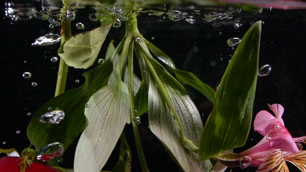 las flores en cámara lenta se hunden en el agua del océano con burbujas de fondo bastante abstracto