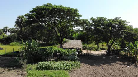 volar sobre una vivienda asiática natural rural
