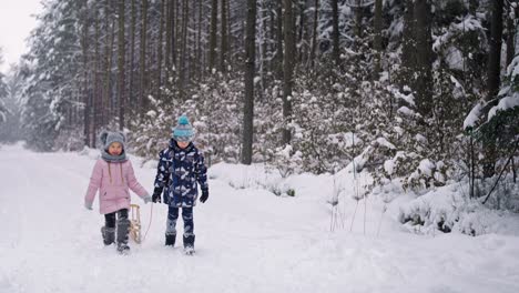 video of siblings pulling a sled in the winter forest