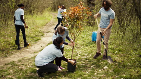 climate activists planting new trees in a woodland ecosystem