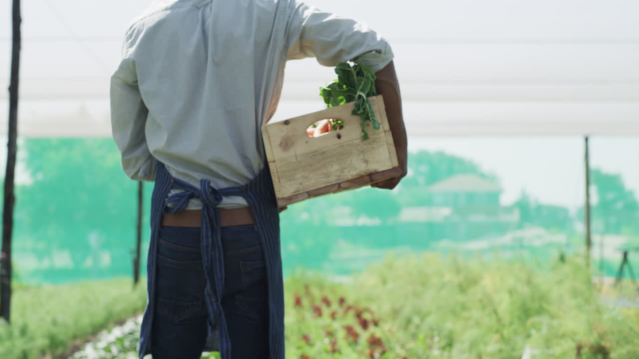 그는 풍부한 수확을 하고 있는 것 같습니다.