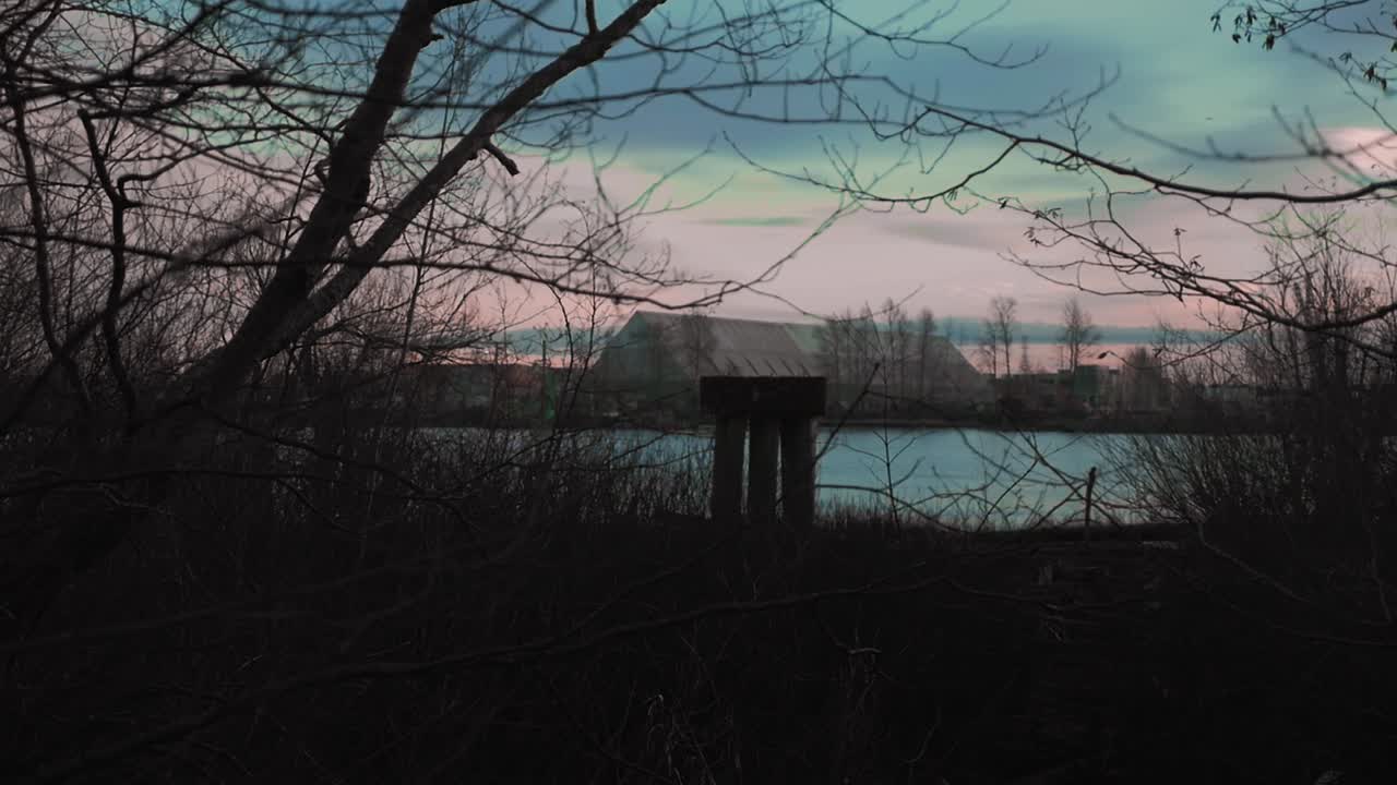 Slow pan view of factory in the distance through trees, forest on the edge of a river with a colourful blue and pink sky
