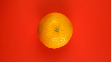 frutas anaranjadas maduras giran alrededor de su eje sobre un fondo rojo.