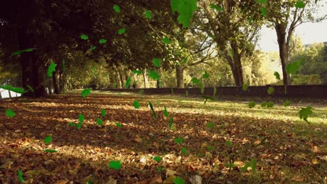 animation of multiple leaves falling over green forest