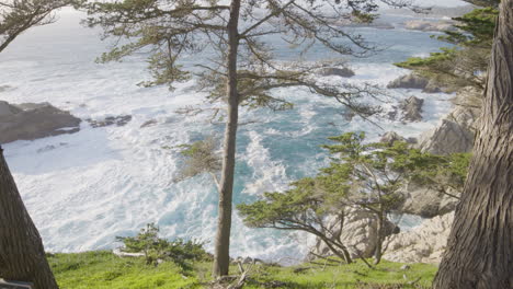 stationary shot from high above through mountainside trees at big sur california with waves crashing in the background of the pacific ocean