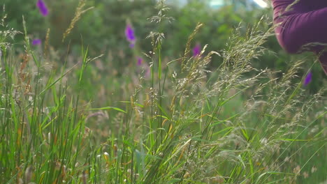 man swings sickle through tall grass in field, slow motion