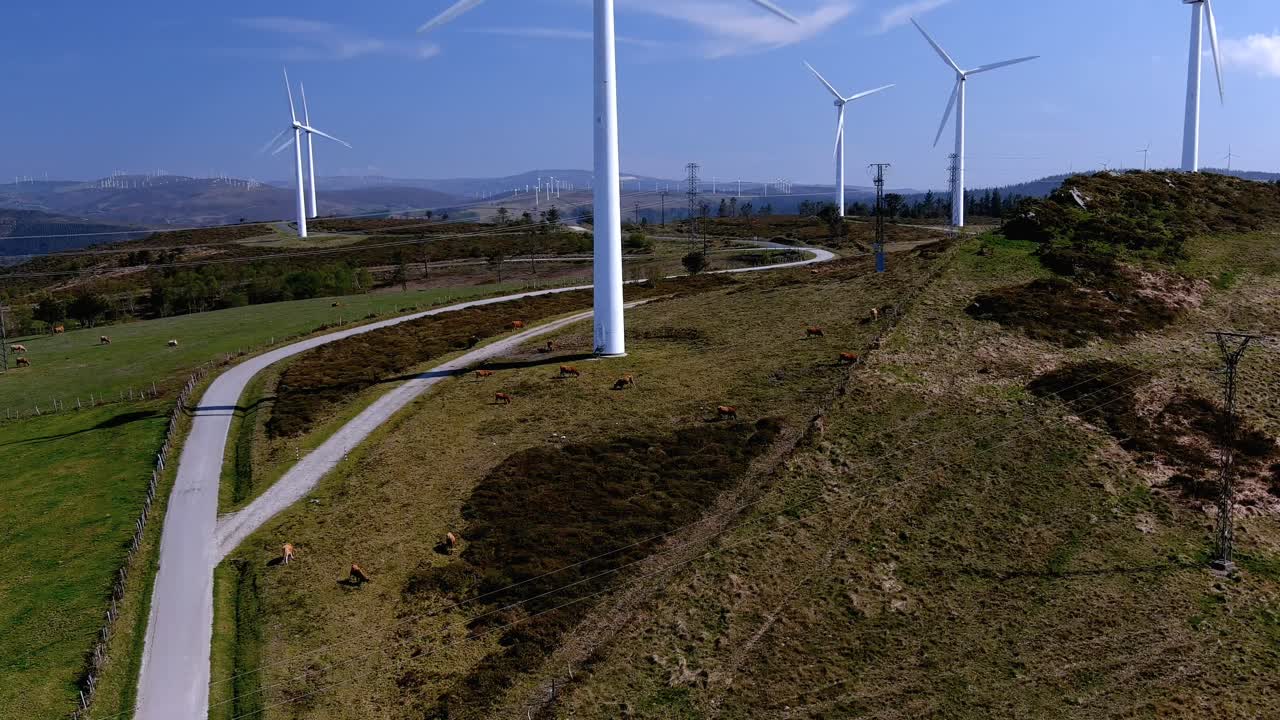 granja de ganado orgánico pastando en los verdes prados de montaña entre turbinas eólicas con líneas eléctricas