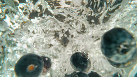 blueberries in boiling water