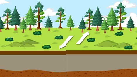 forest landscape changes with underground layers