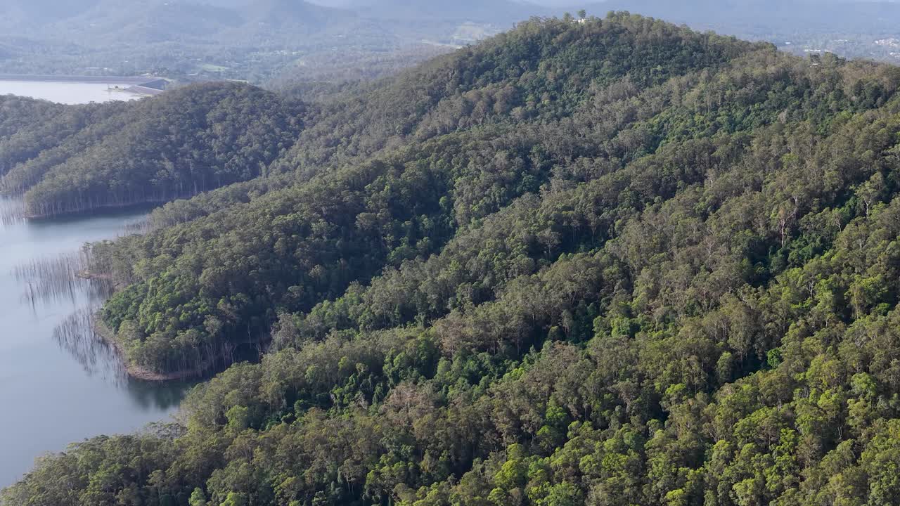 Drone sorvola una fitta boscaglia australiana, rivelando colline boscose e un lago tranquillo alla luce del giorno