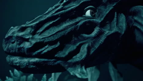 deep sea dragon