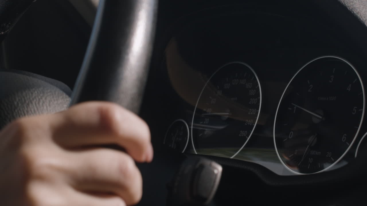 Car dashboard with speedometer and steering wheel