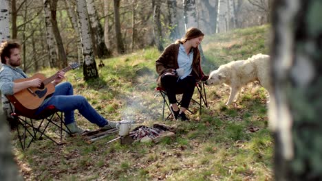 man playing guitar and woman stroking dog together around fire place.real friends people outdoor camping tent vacation in autumn trip.fall sunny day in nature, togetherness and friendship. 4k video