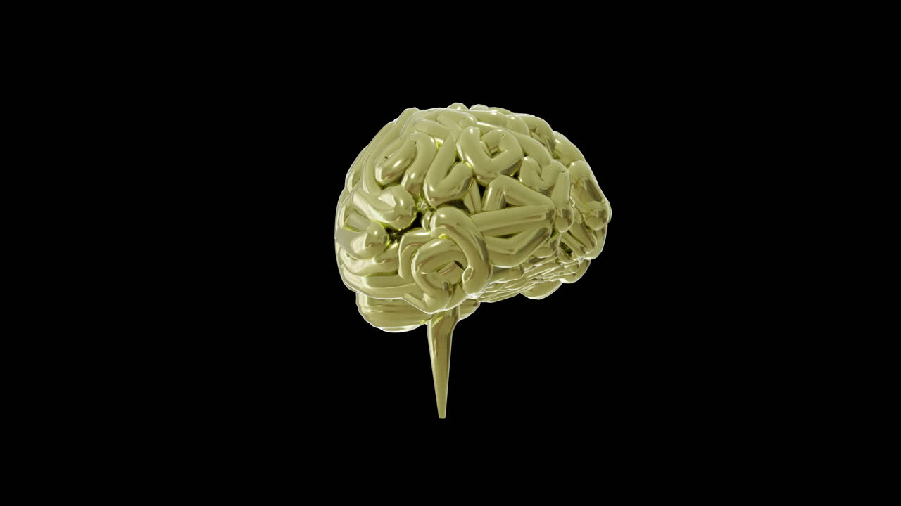 Animation of green human brain spinning on black background