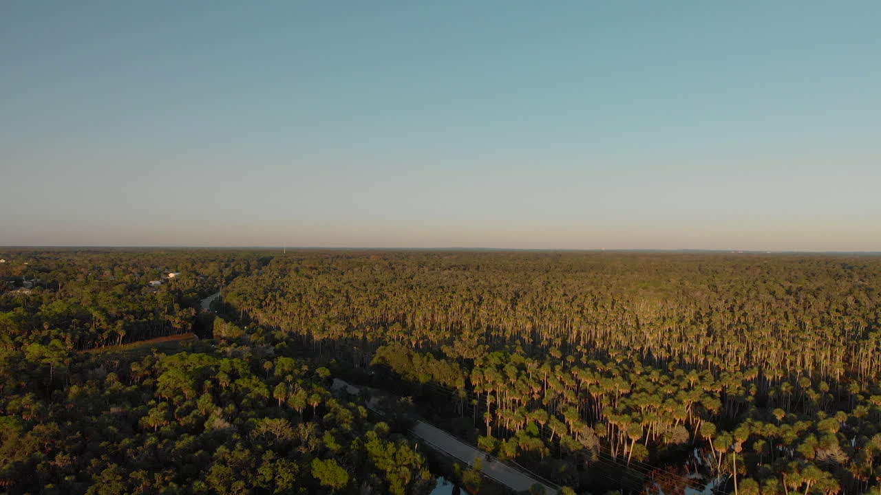 몇 대의 자동차가 운전하는 도로 옆으로 잘린 광대한 숲의 공중 전망, 돌리가 총에 맞았다