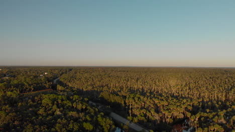 Aerial-view-of-a-vast-forest-cut-by-a-road-with-some-cars-driving-by,-dolly-in-shot