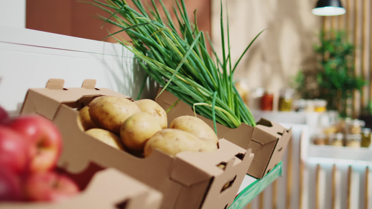 신선하게 수확된 과일과 채소