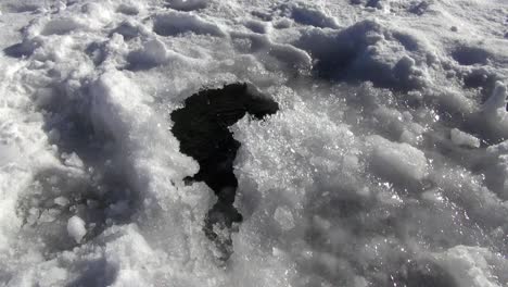 les bulles des plongeurs s'échappent à travers un petit trou dans la glace