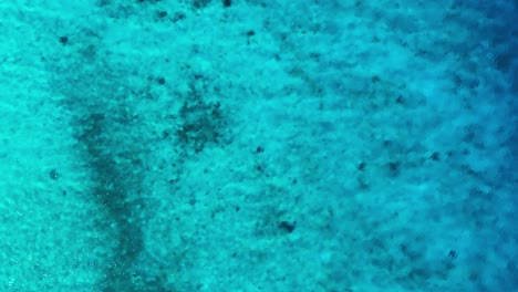 vista de pájaro por encima de las ondas de agua brillante y el arrecife disperso y la arena en el océano
