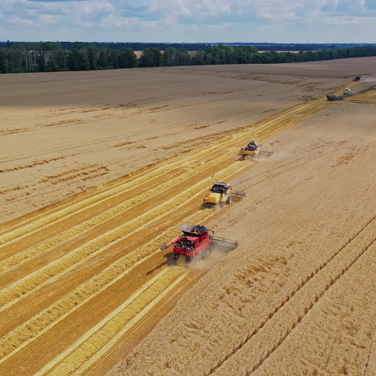 Beautiful view of the yellow field with harvester machinery. Many agricultural combine harvesters gathering crop on the field. Aerial view.