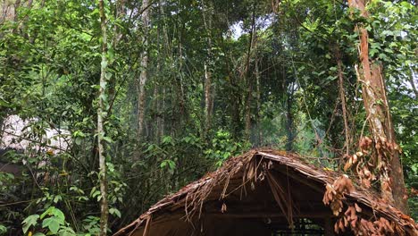 A traditional thatched hut stands amid dense rainforest vegetation in Mari Mari Cultural Village, Kota Kinabalu, Sabah, Malaysia