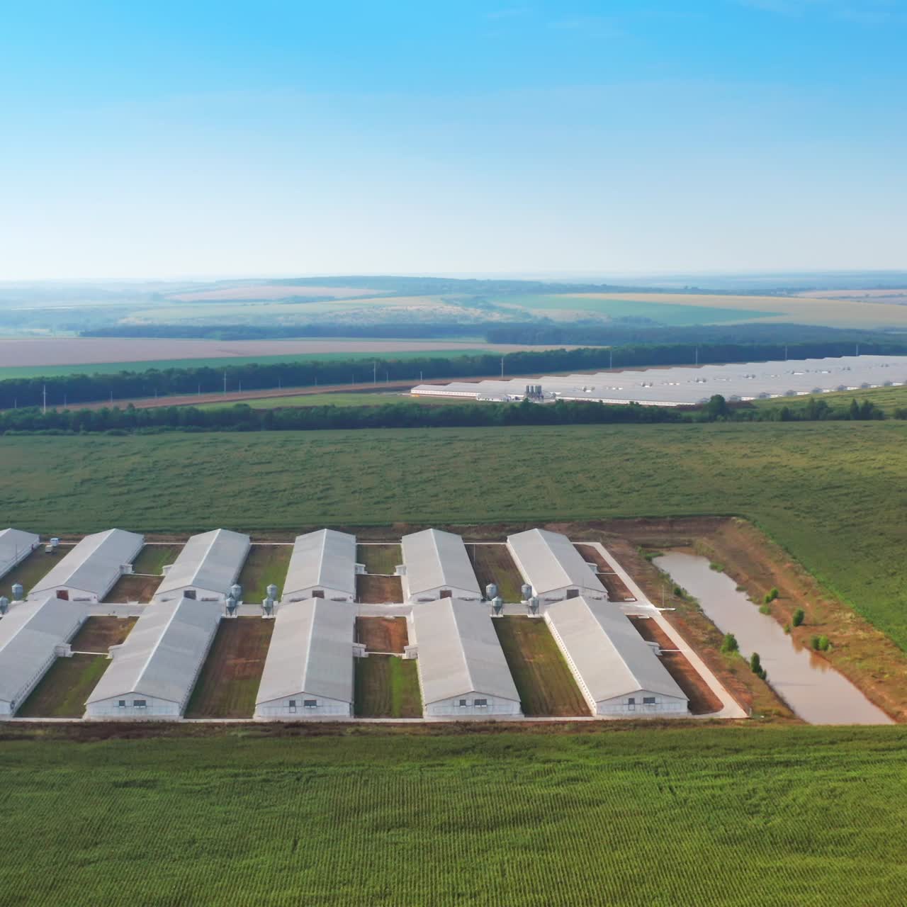 Aerial view greenhouse building. Growing fresh vegetables and fruits in big greenhouses